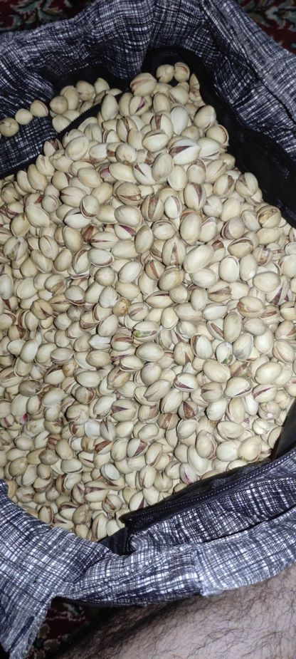 پسته زرآوند